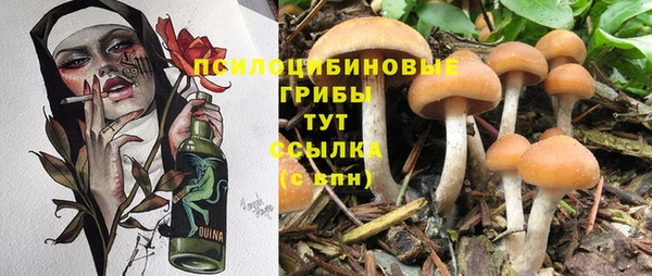 кокс Белокуриха