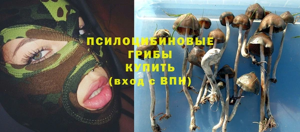 кокс Белокуриха