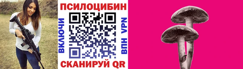 дарк нет Telegram  Владивосток  Галлюциногенные грибы Psilocybine cubensis 